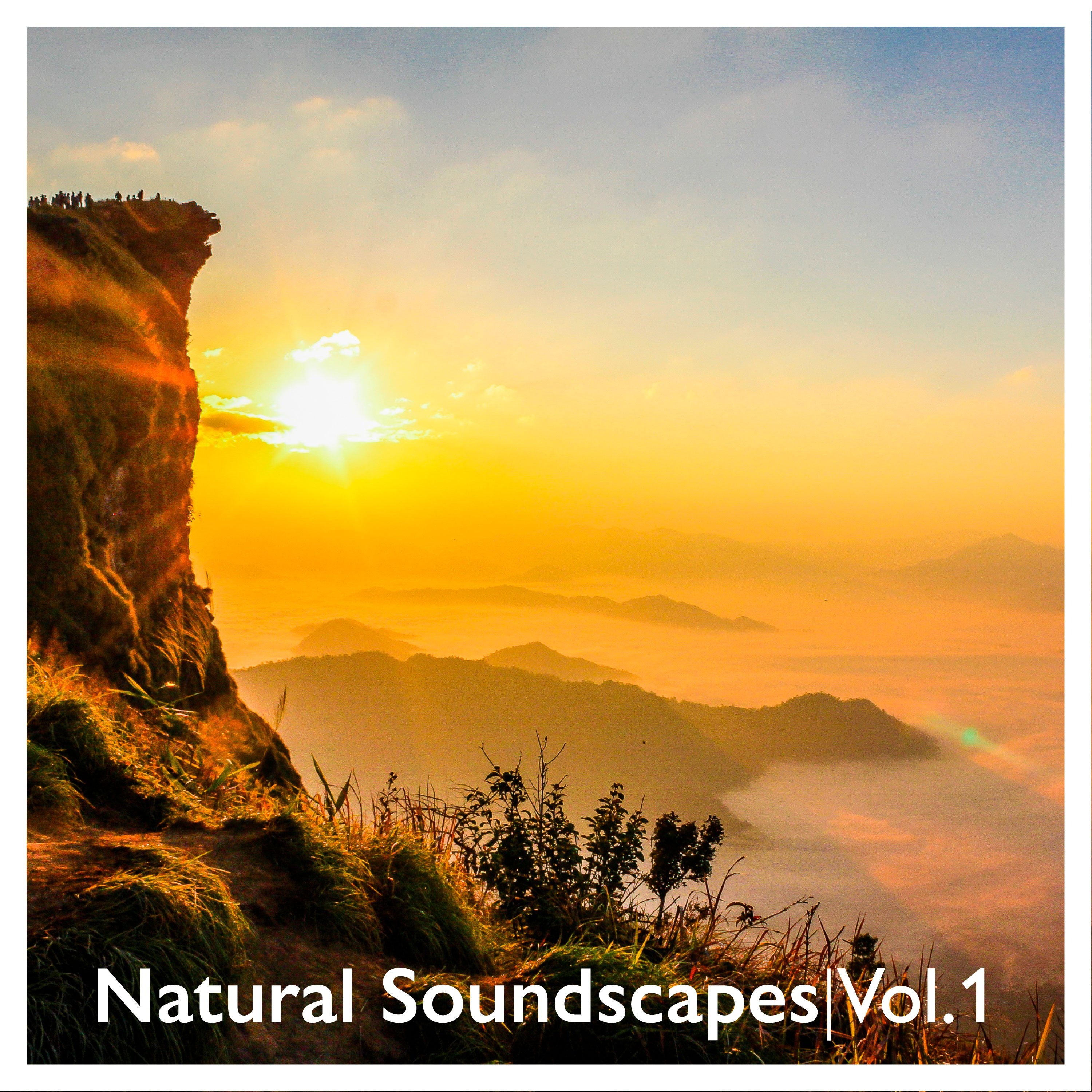 Natural Soundscapes, Vol. 1