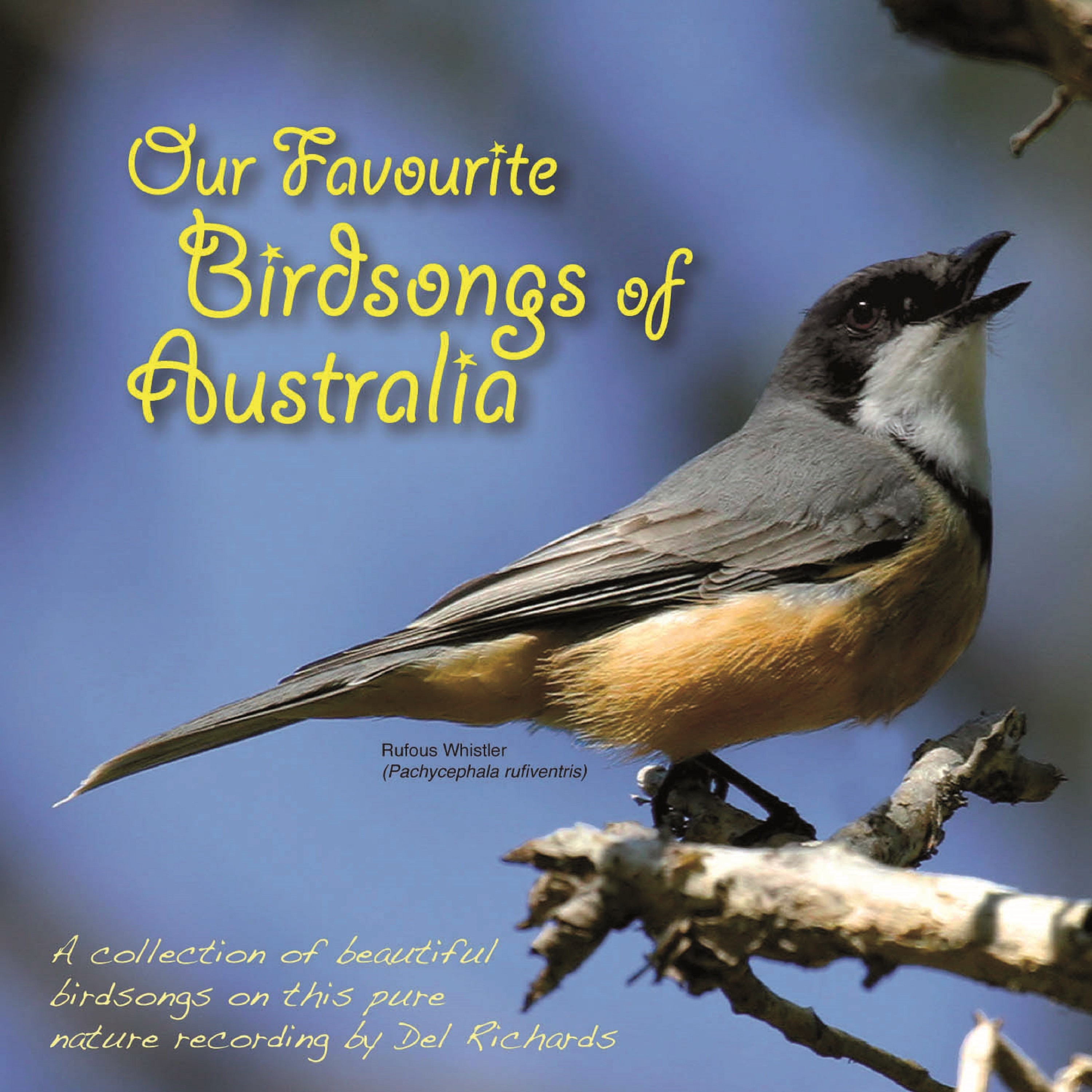 Our Favourite Birdsongs of Australia