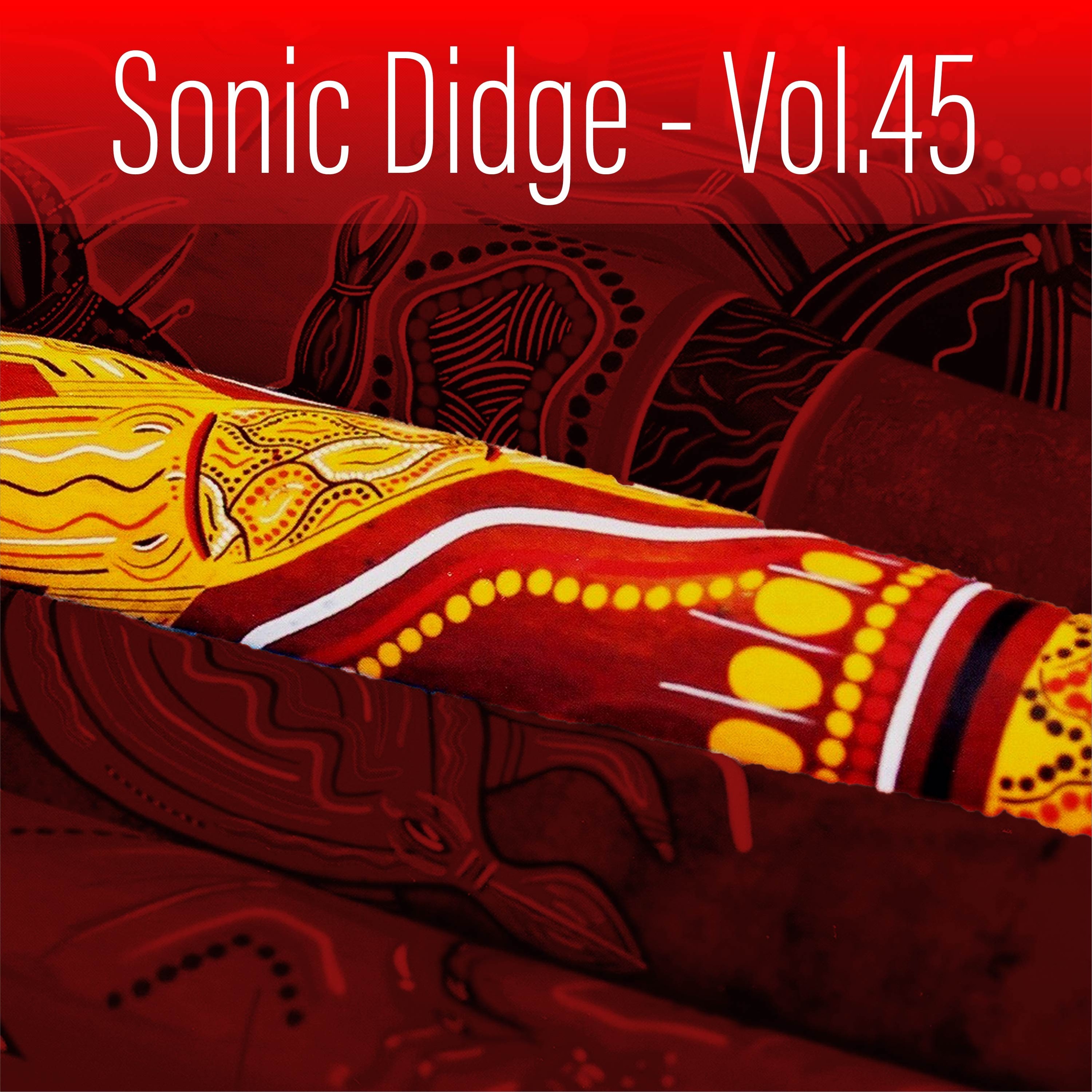 Sonic Didge, Vol. 45