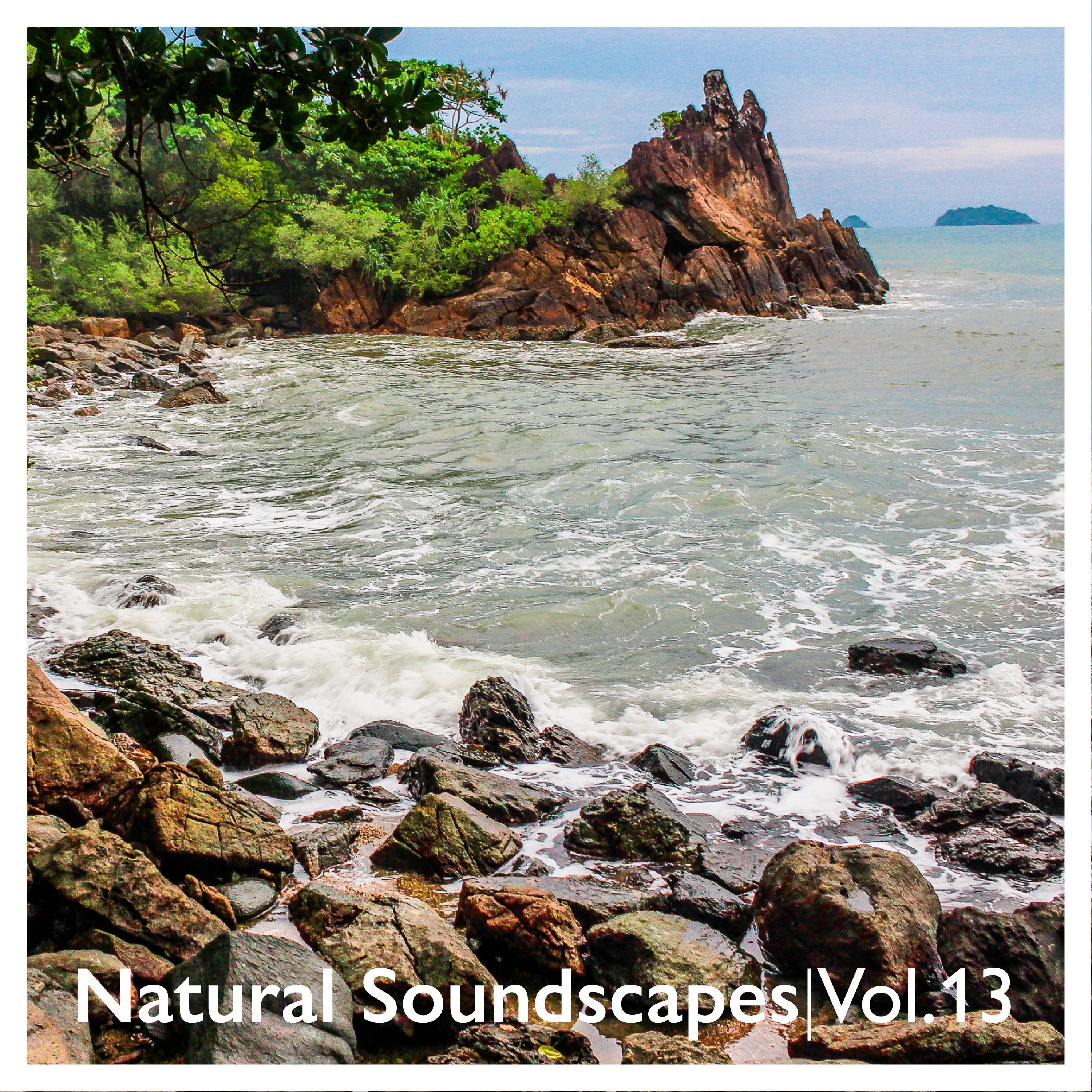 Natural Soundscapes, Vol. 13