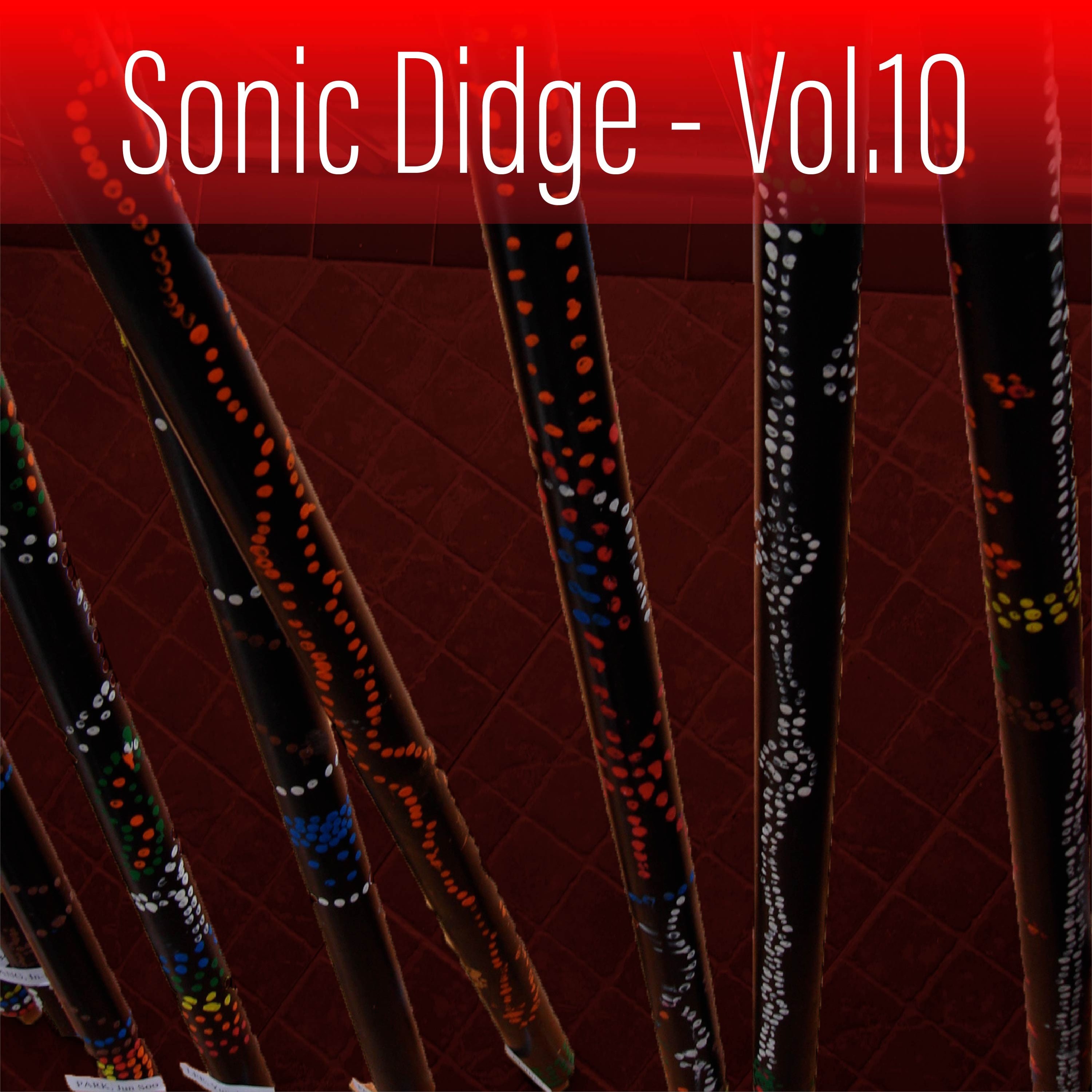 Sonic Didge, Vol. 10