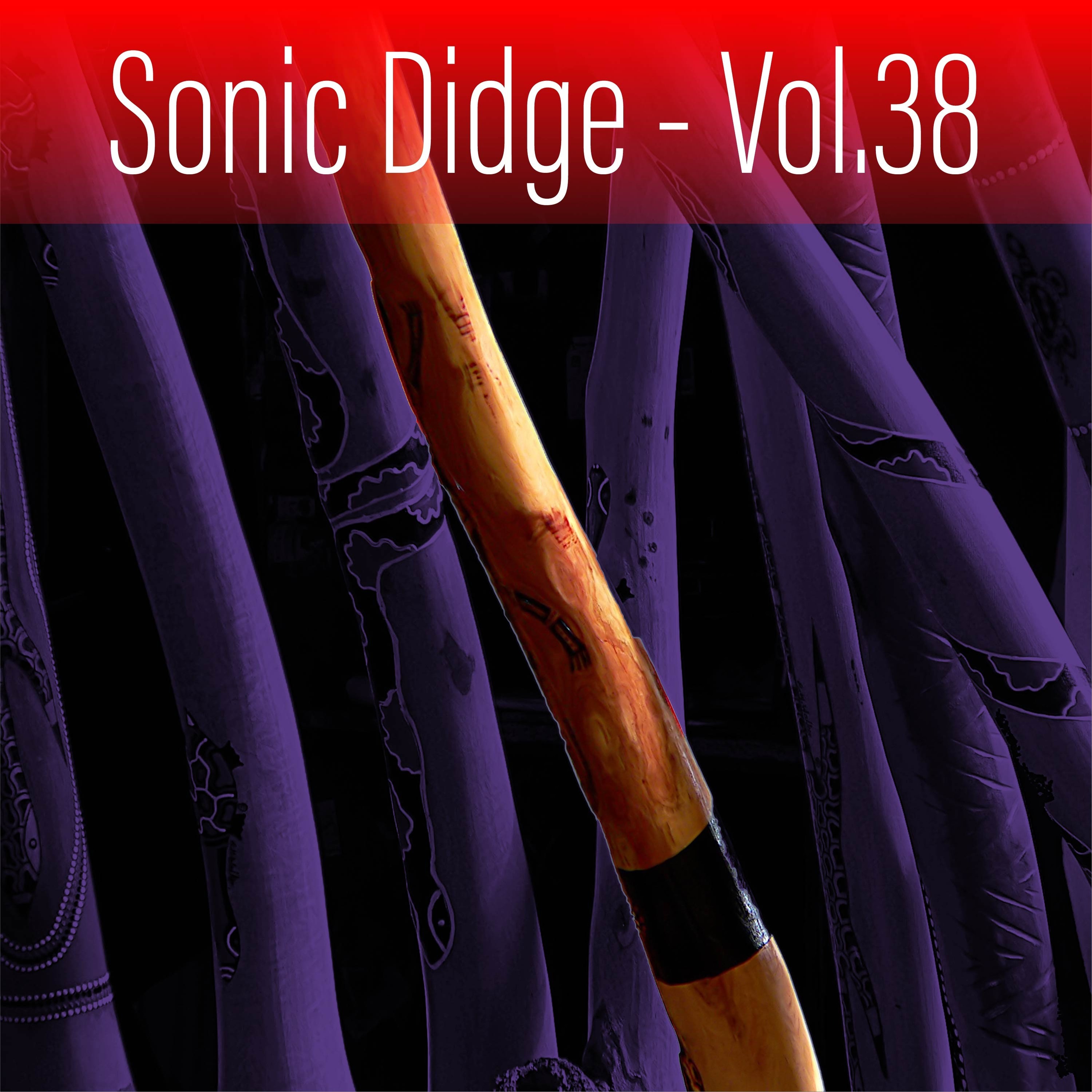 Sonic Didge, Vol. 38