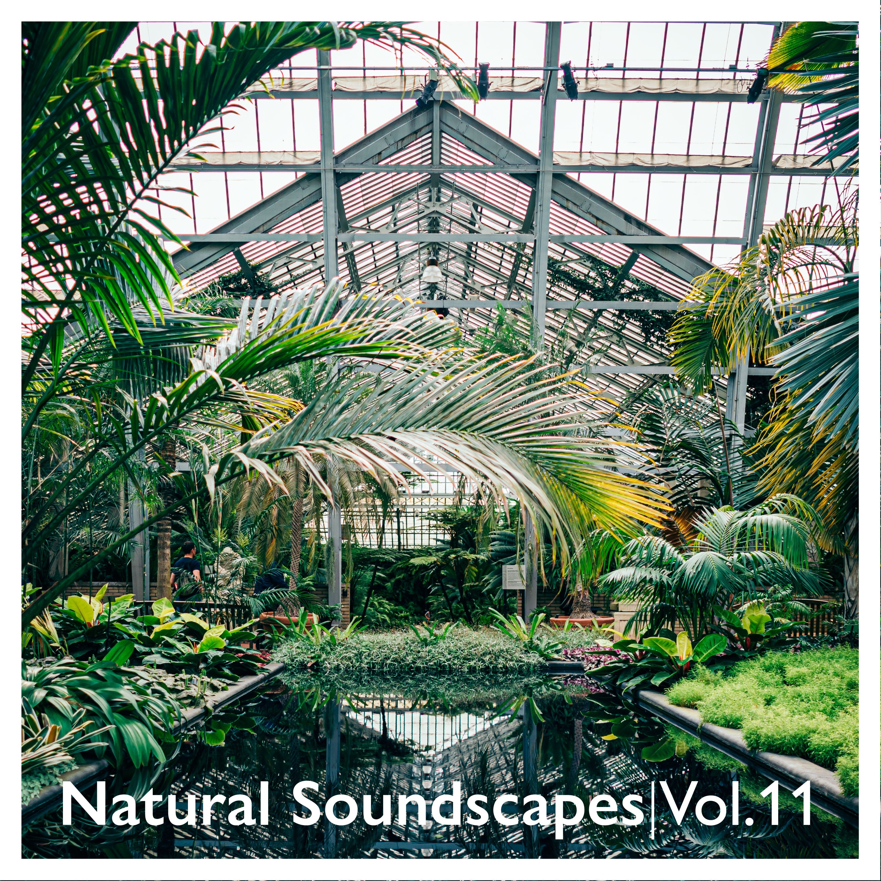 Natural Soundscapes, Vol. 11