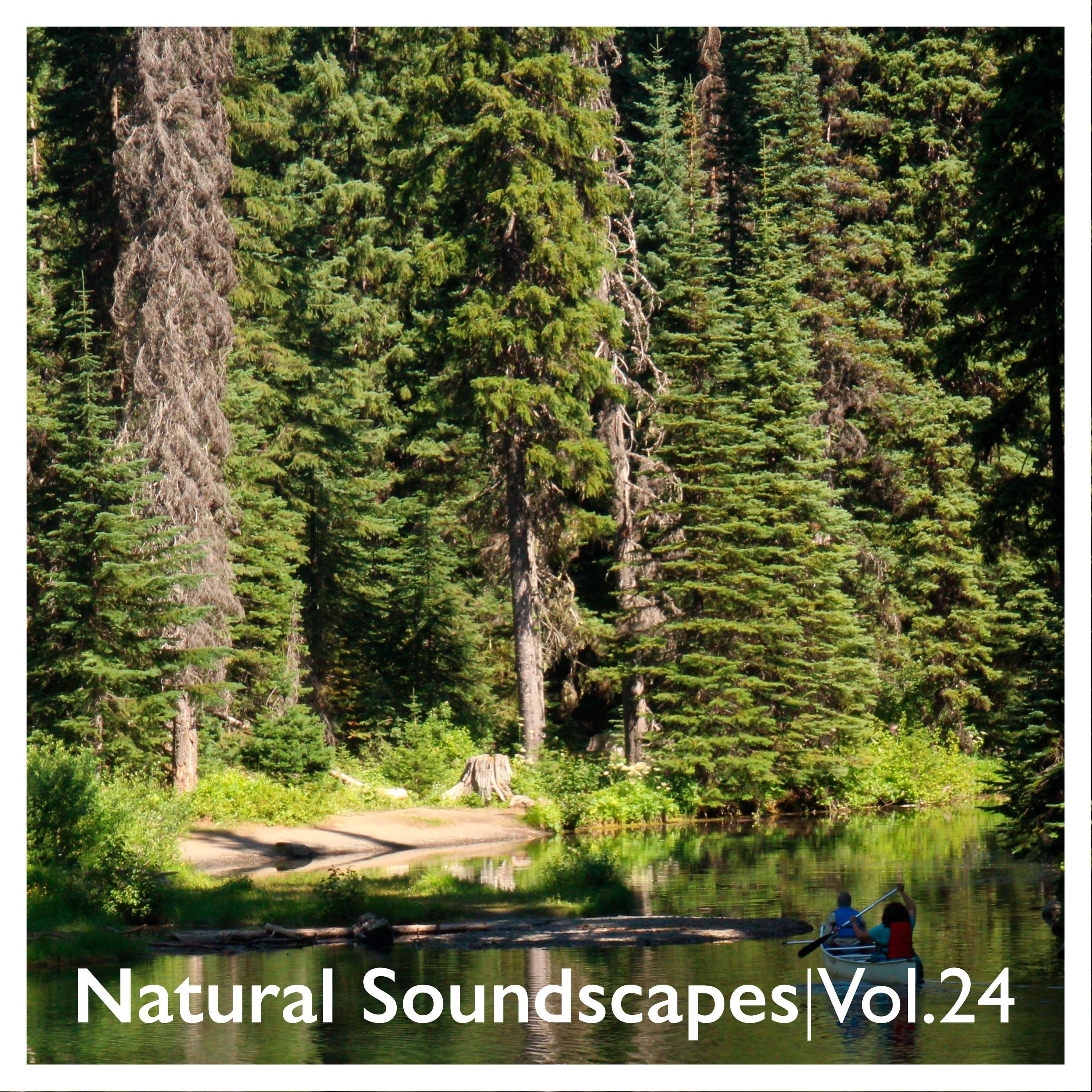 Natural Soundscapes, Vol. 24