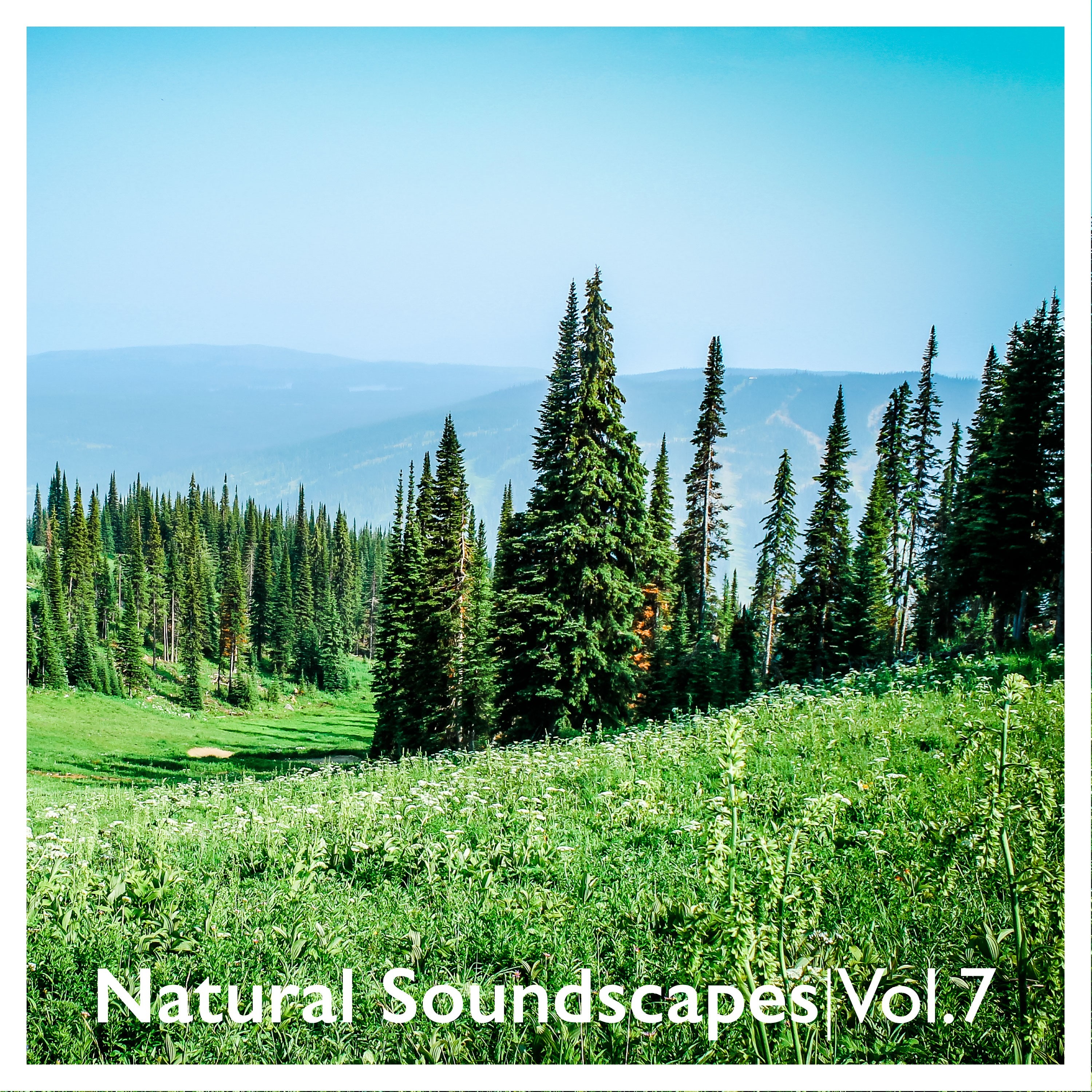 Natural Soundscapes, Vol. 7