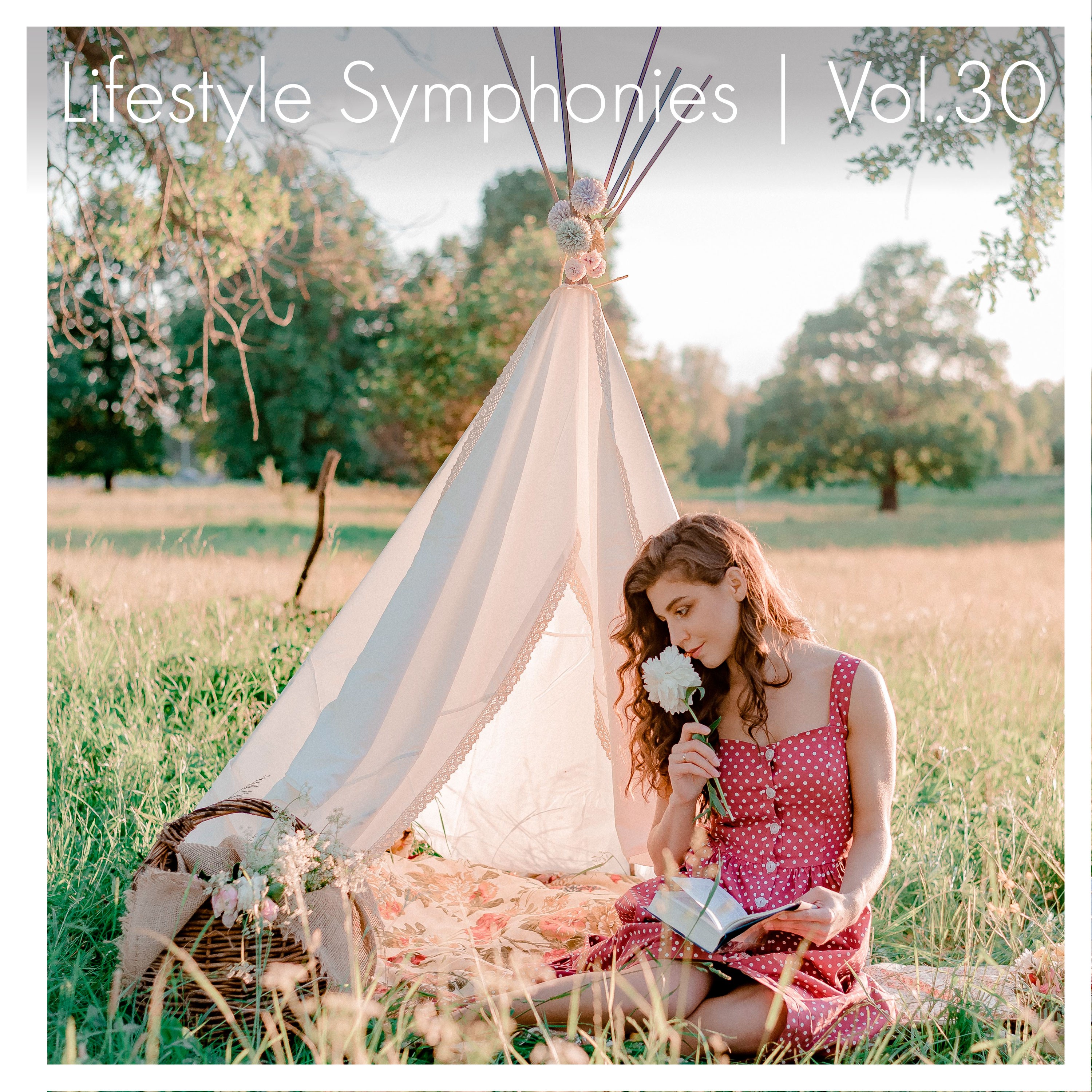 Lifestyle Symphonies, Vol. 30