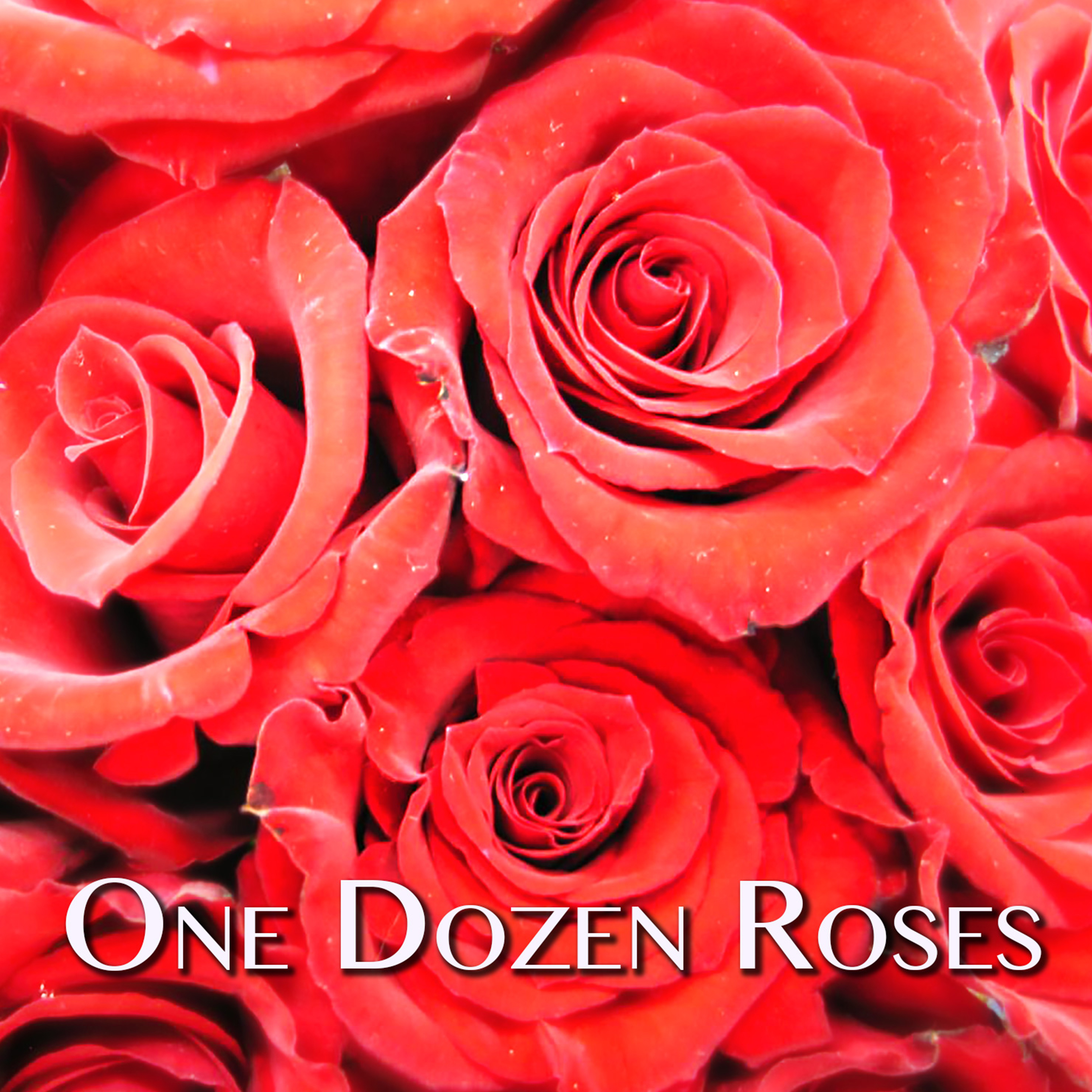 One Dozen Roses