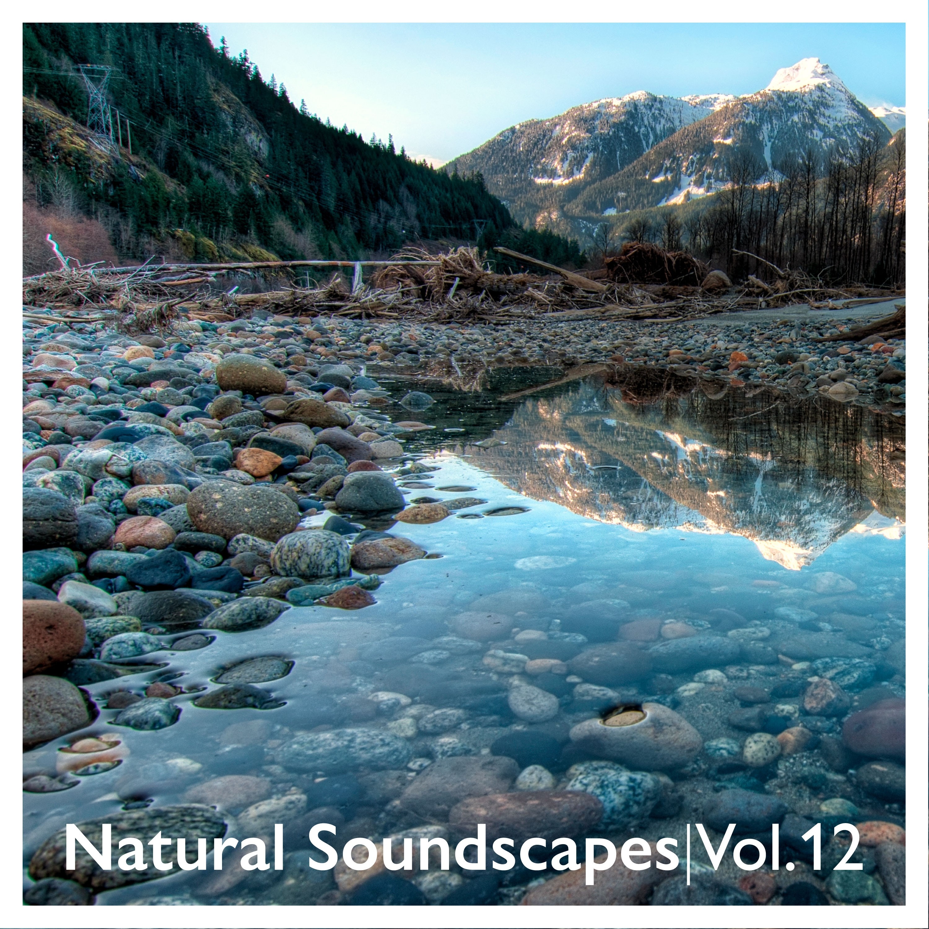 Natural Soundscapes, Vol. 12