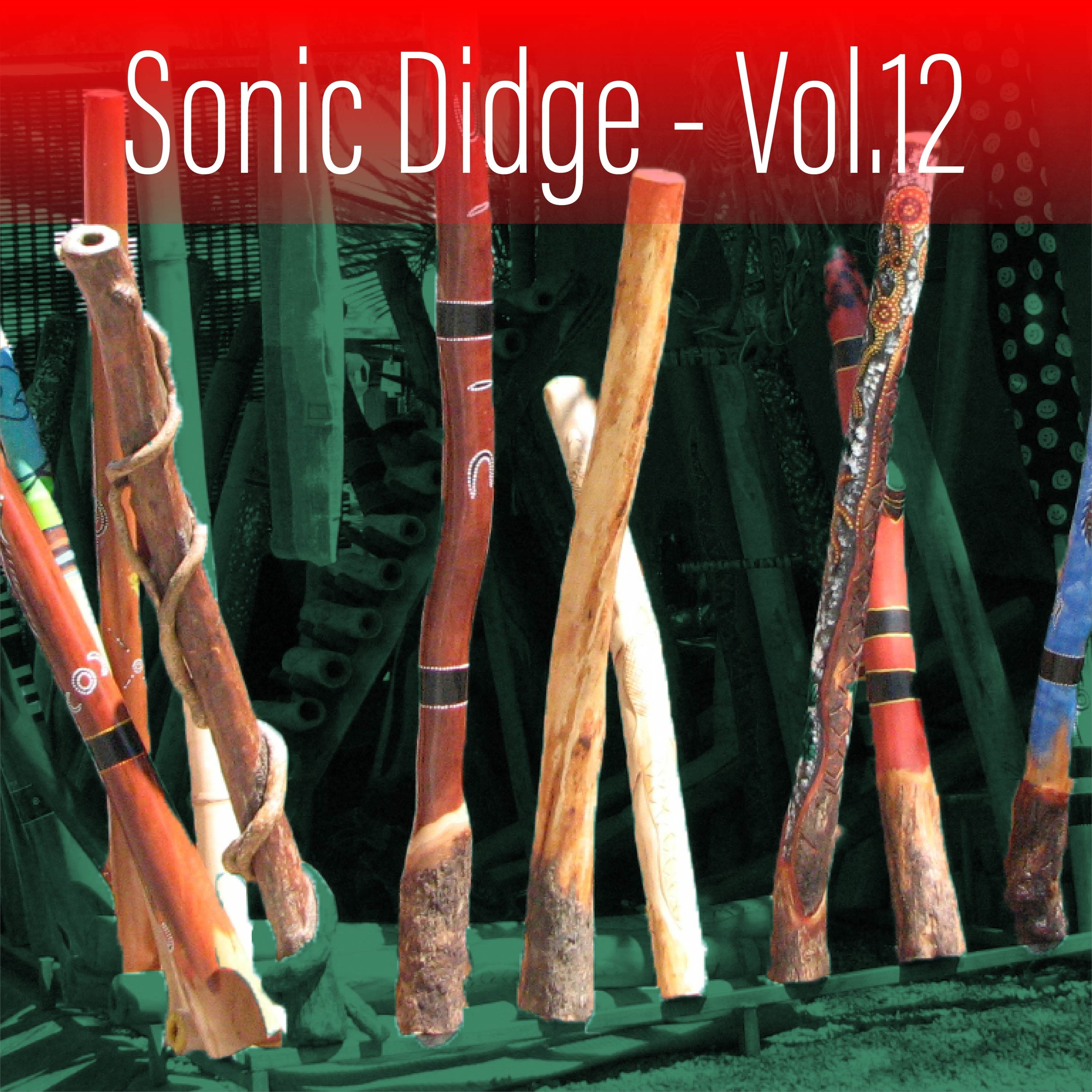 Sonic Didge, Vol. 12