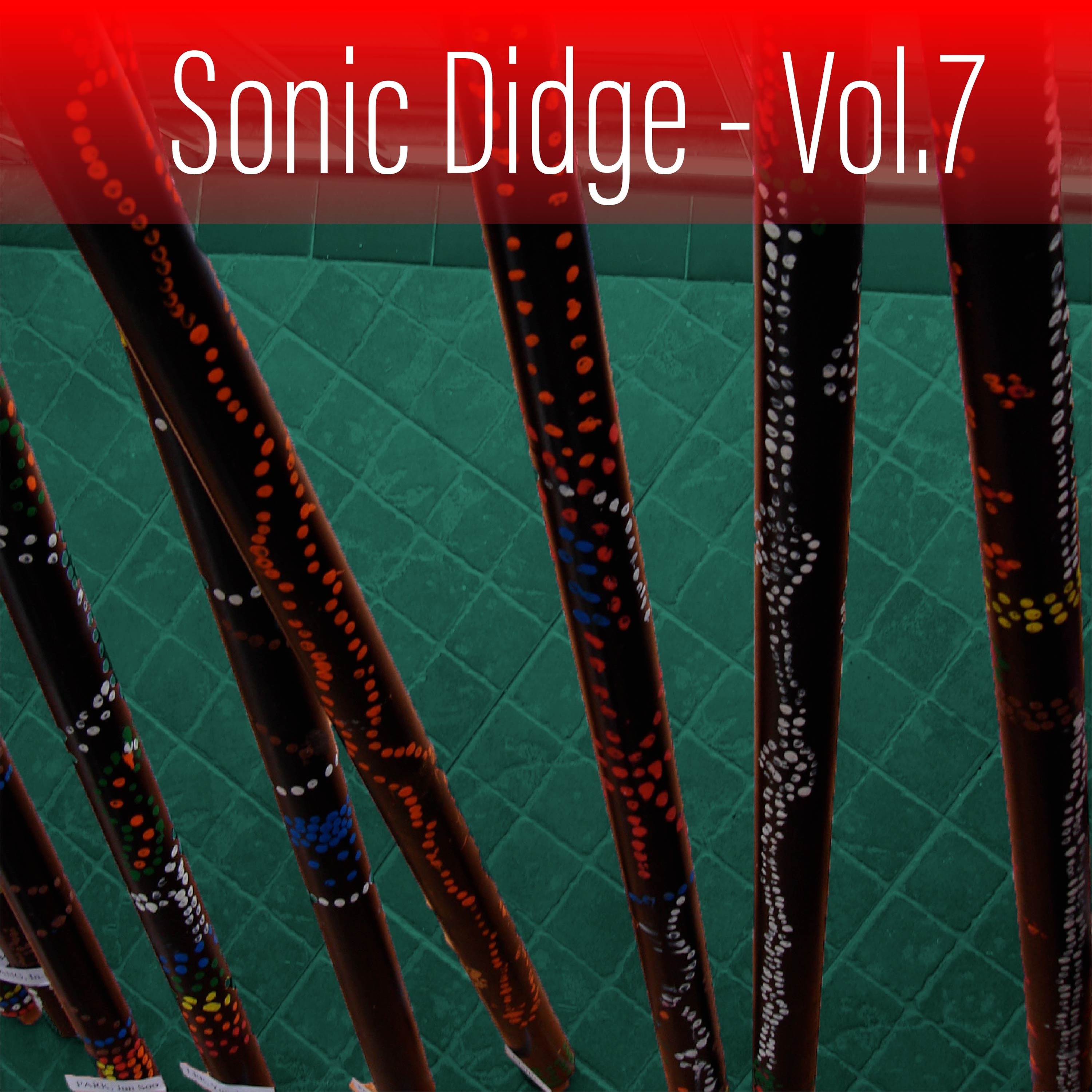 Sonic Didge, Vol. 7
