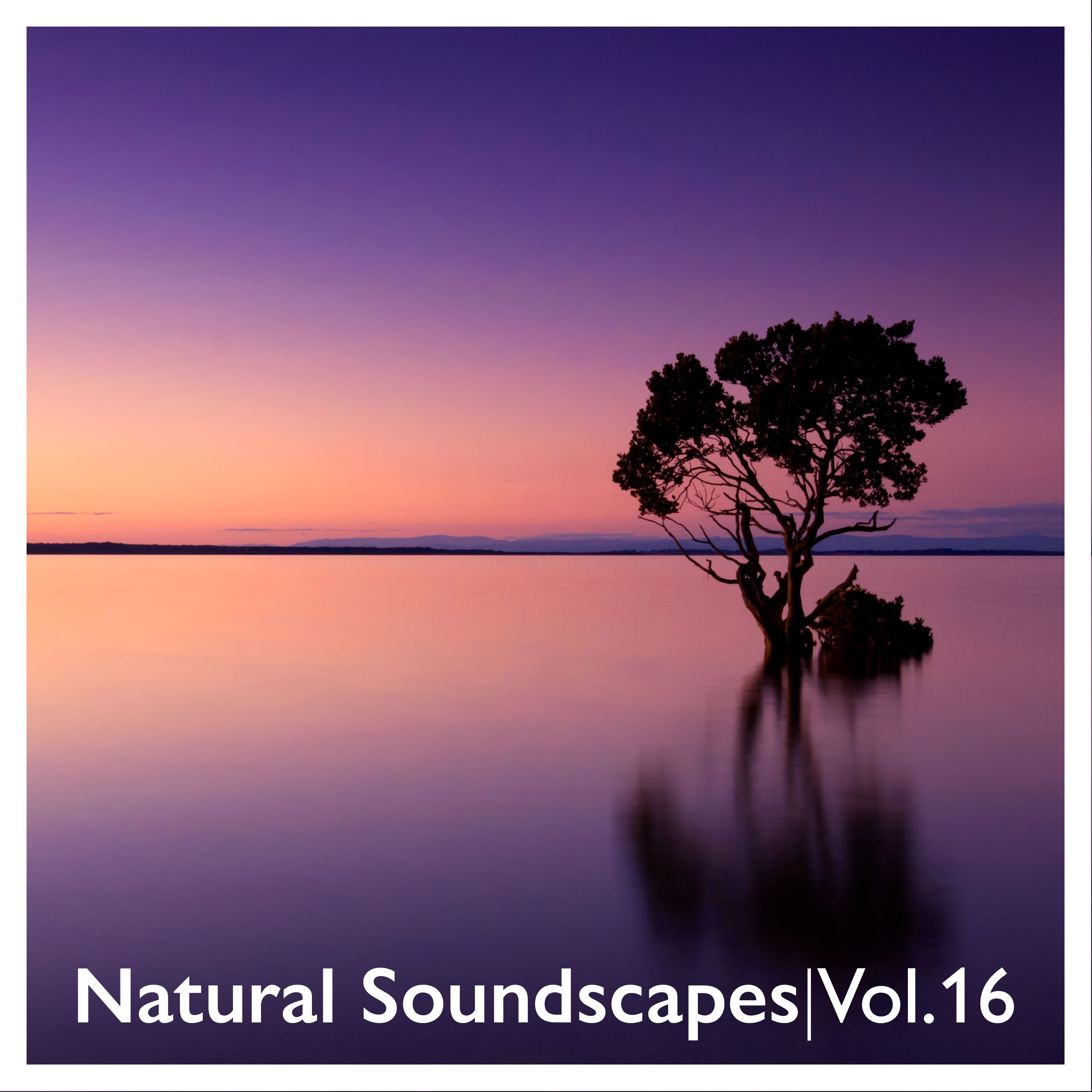 Natural Soundscapes, Vol. 16