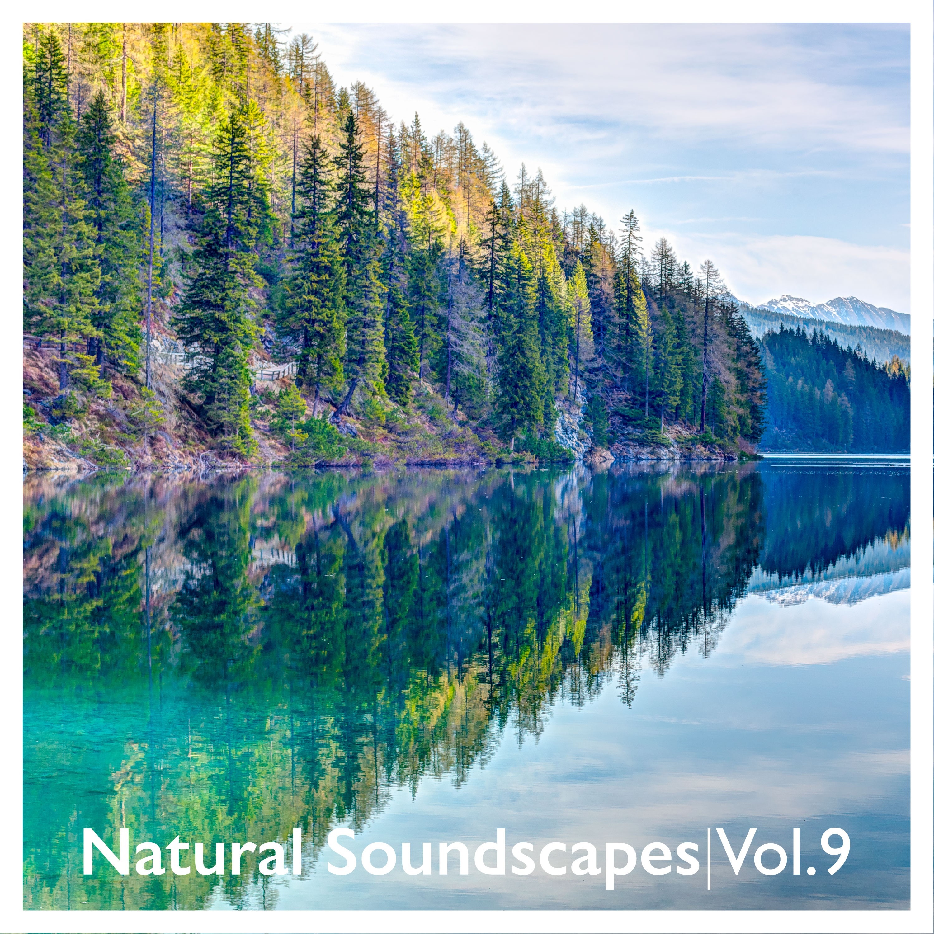 Natural Soundscapes, Vol. 9
