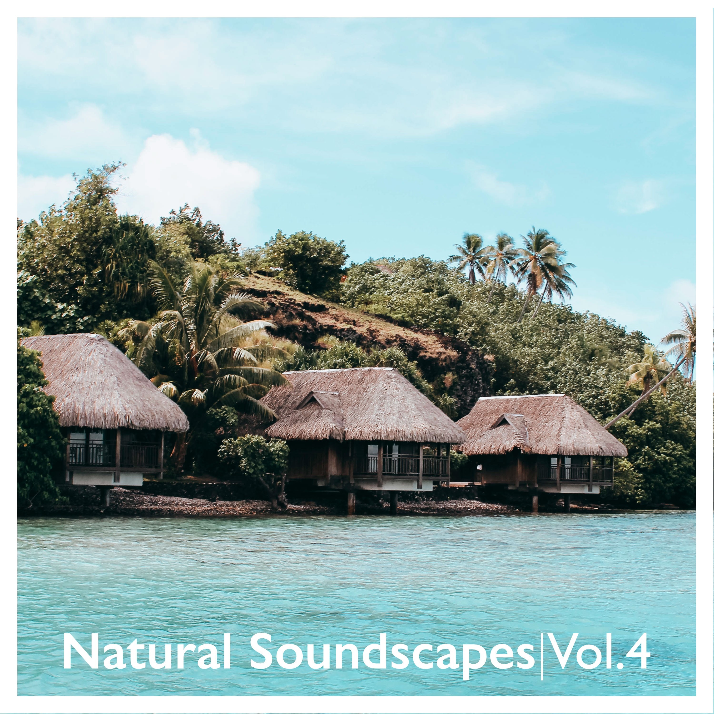 Natural Soundscapes, Vol. 4