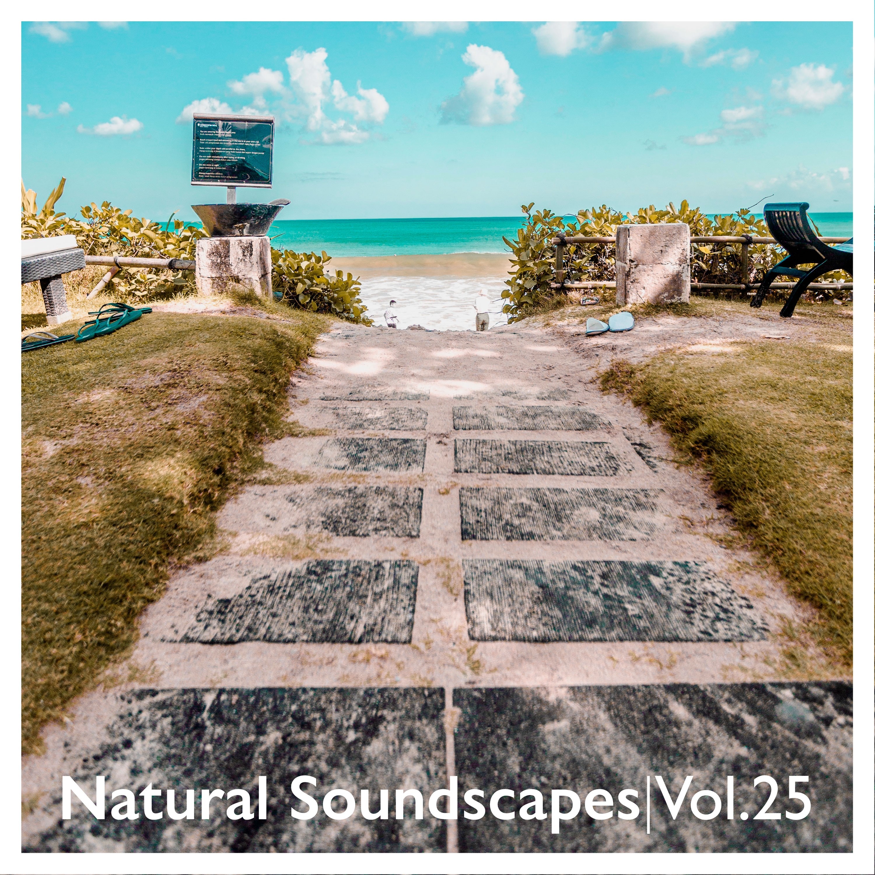 Natural Soundscapes, Vol. 25