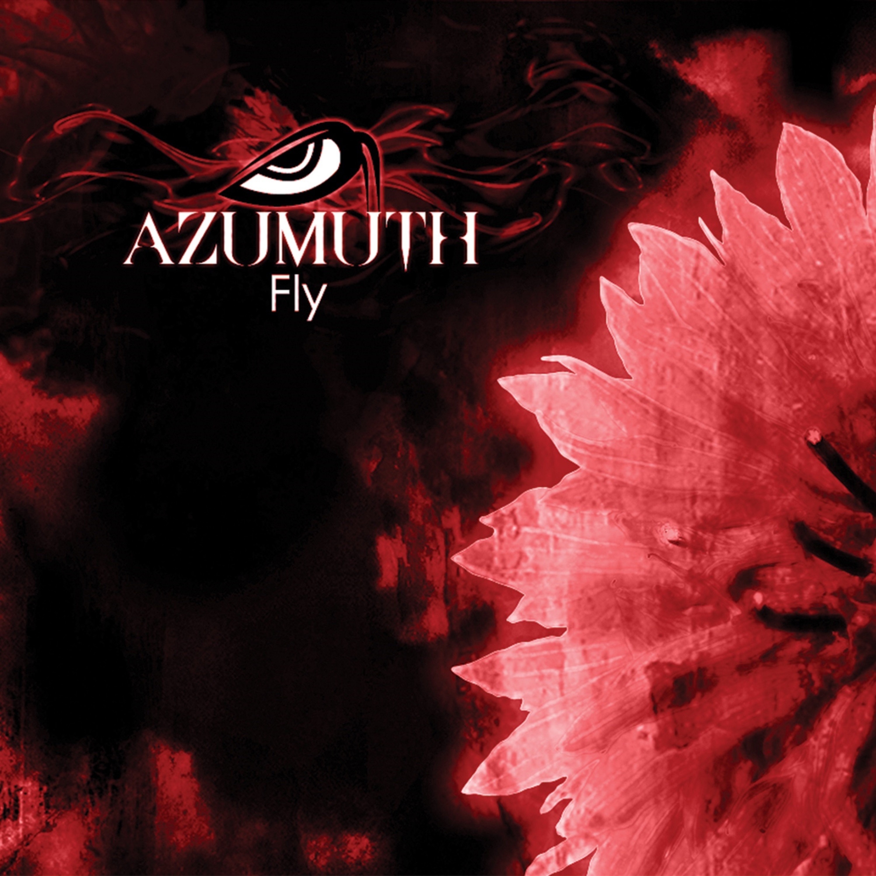 Fly