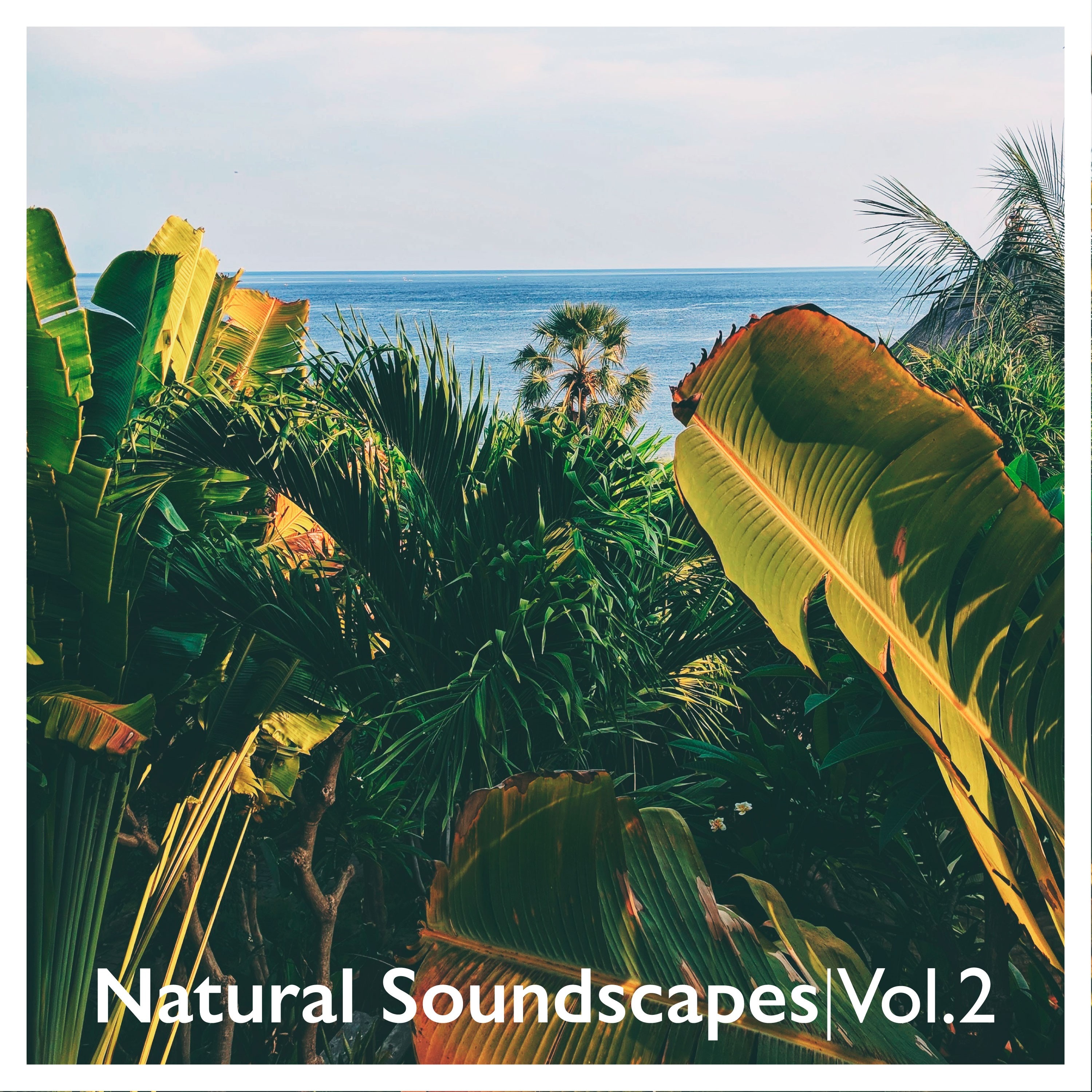 Natural Soundscapes, Vol. 2