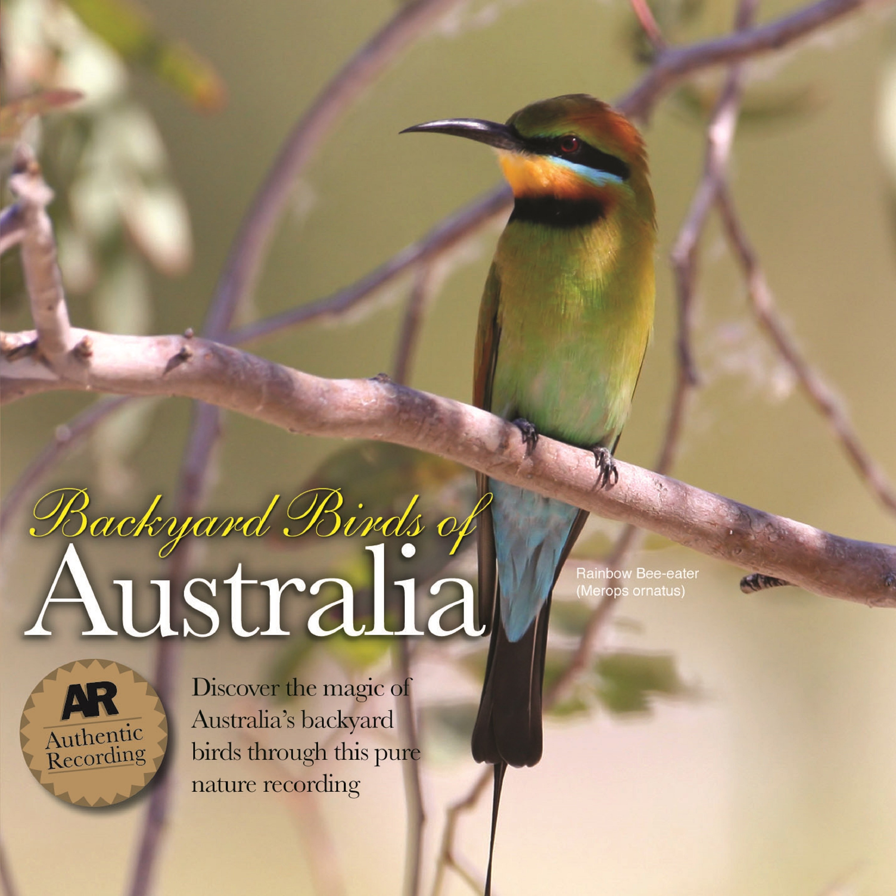 Backyard Birds of Australia