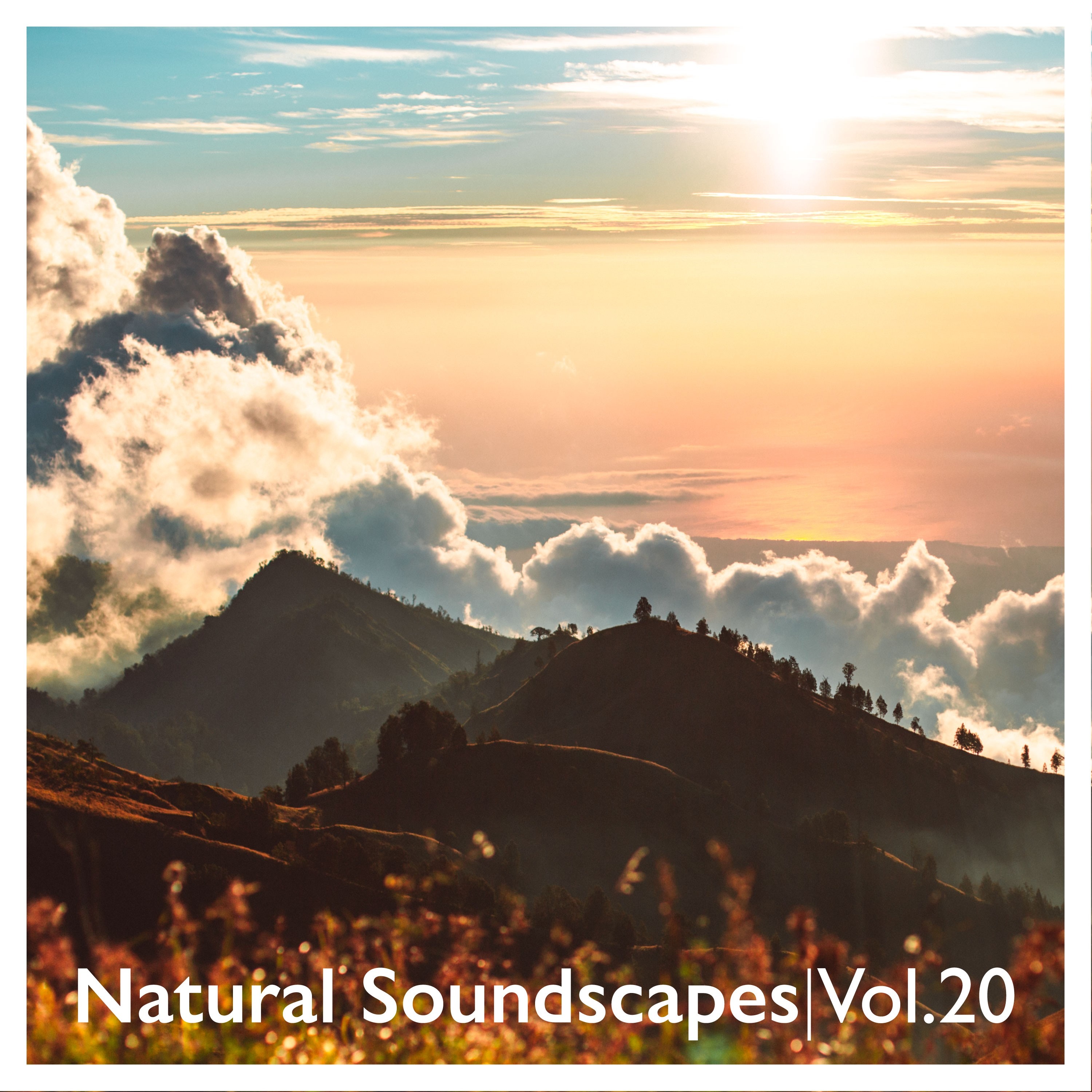 Natural Soundscapes, Vol. 20