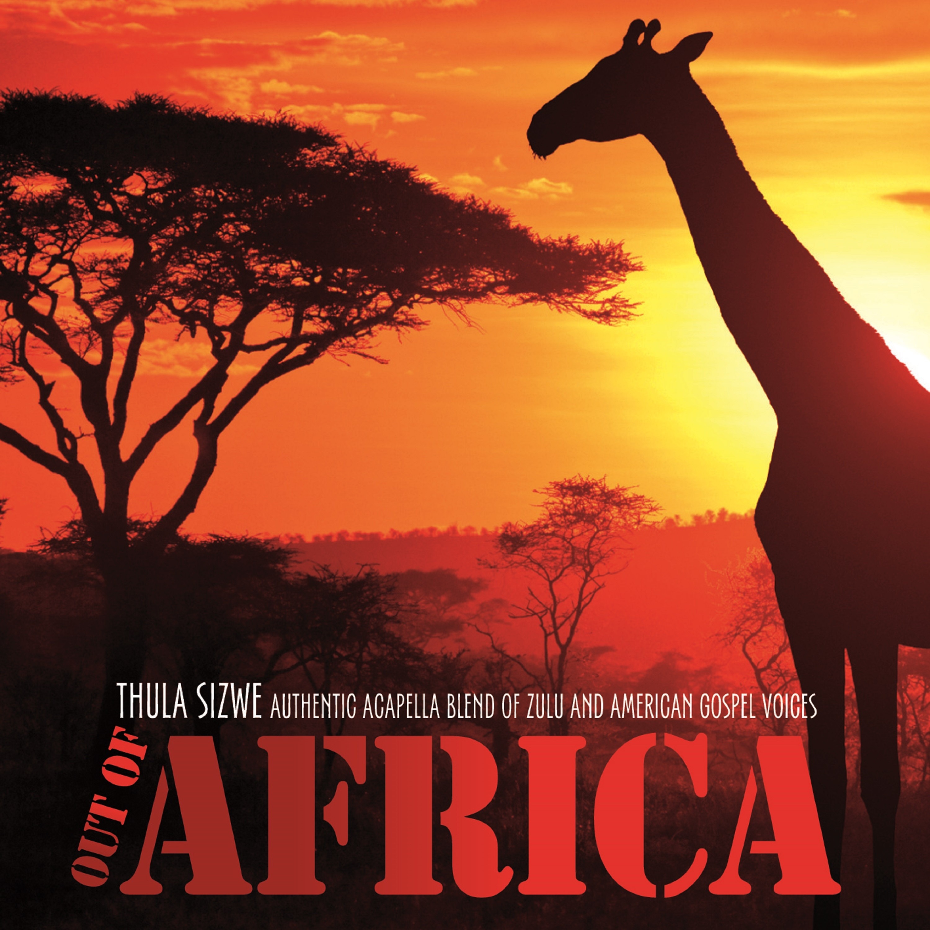 Out Of Africa
