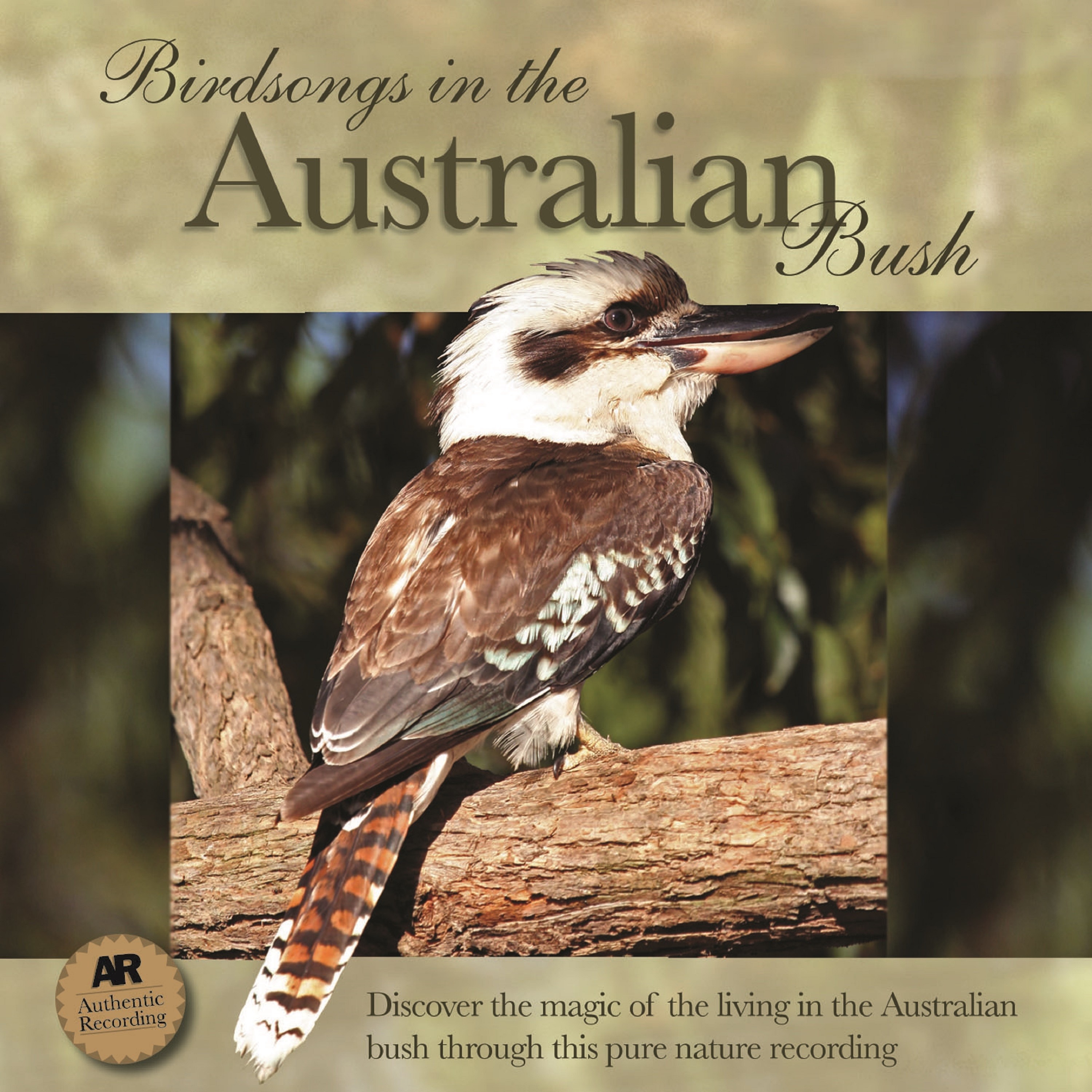 Birdsongs in the Australian Bush