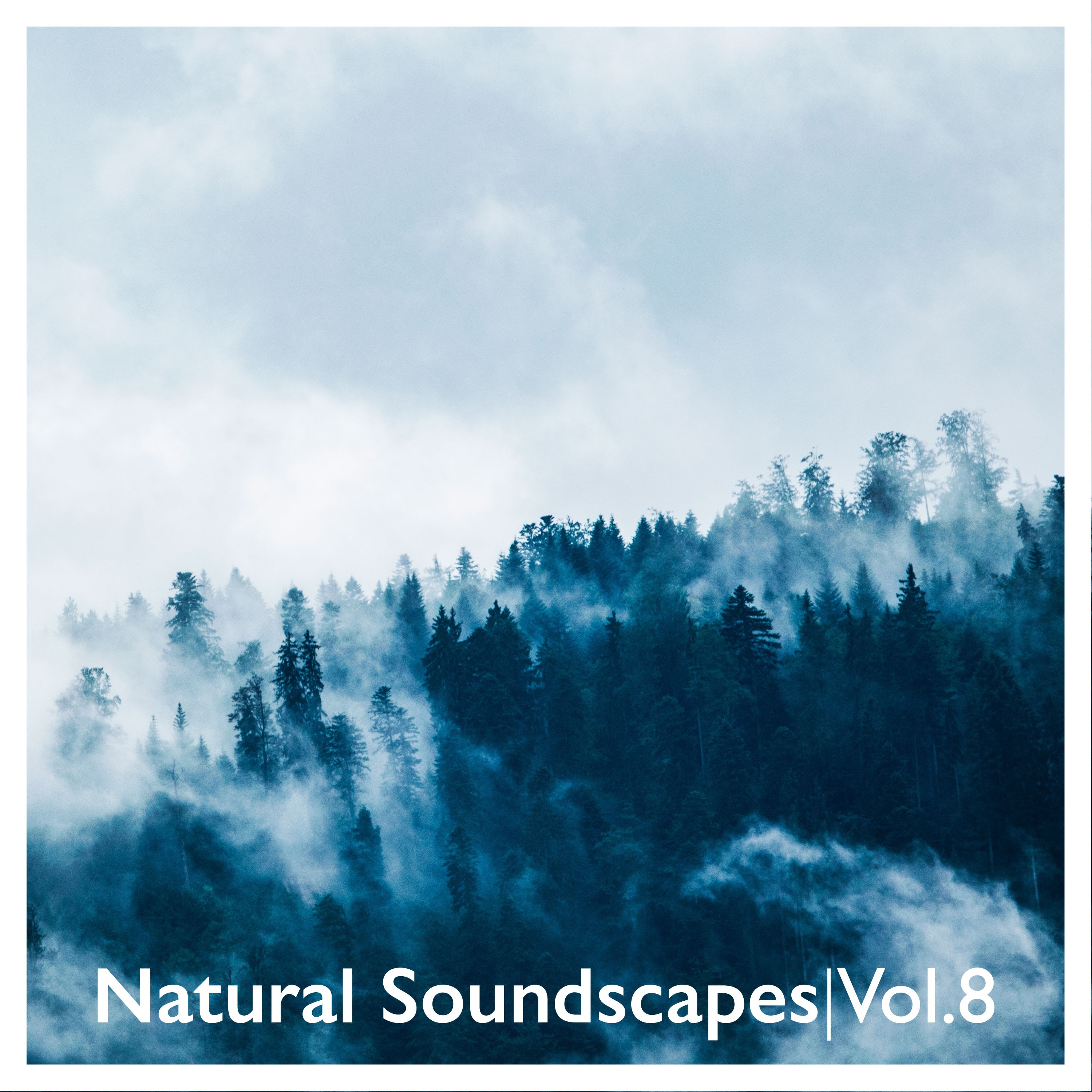 Natural Soundscapes, Vol. 8