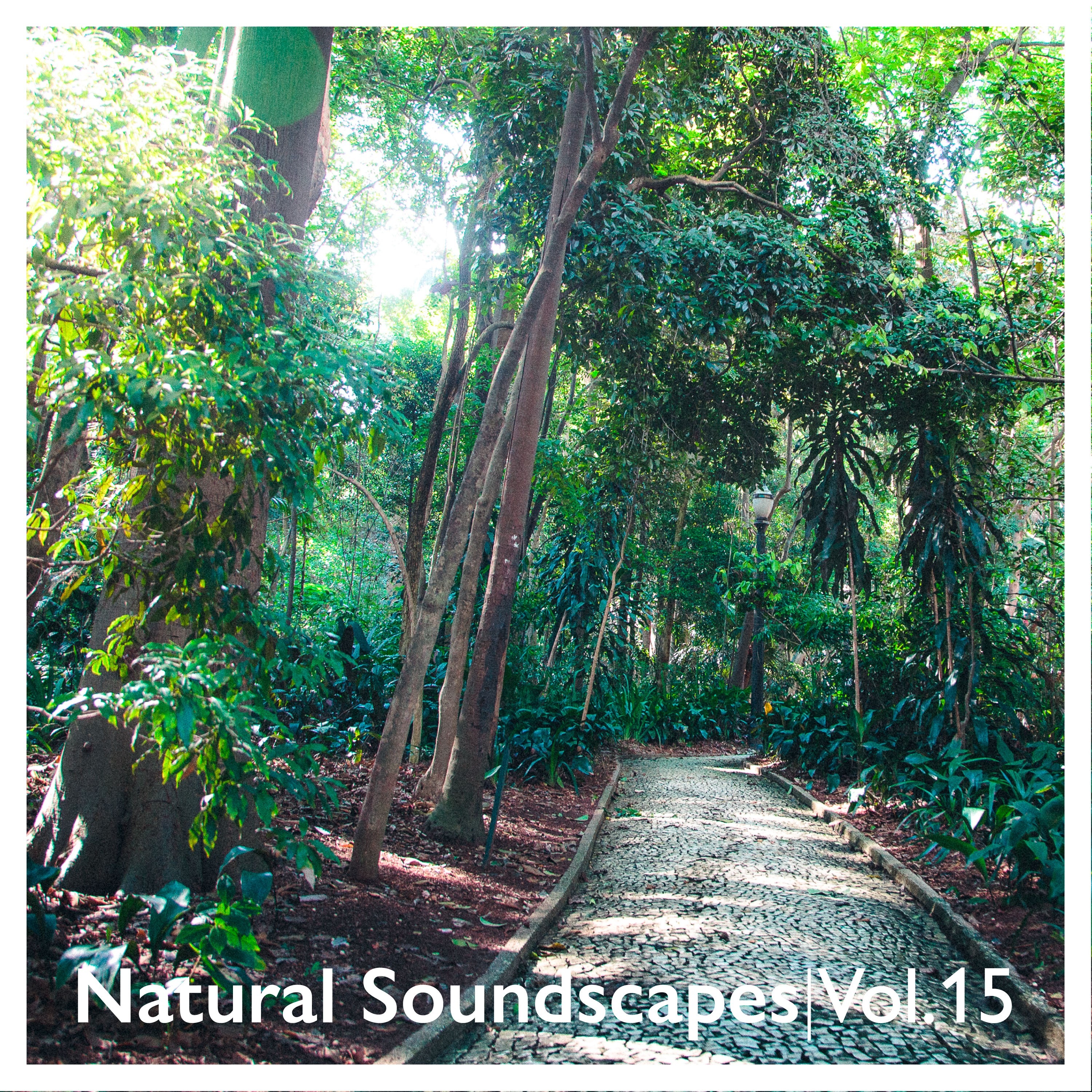 Natural Soundscapes, Vol. 15