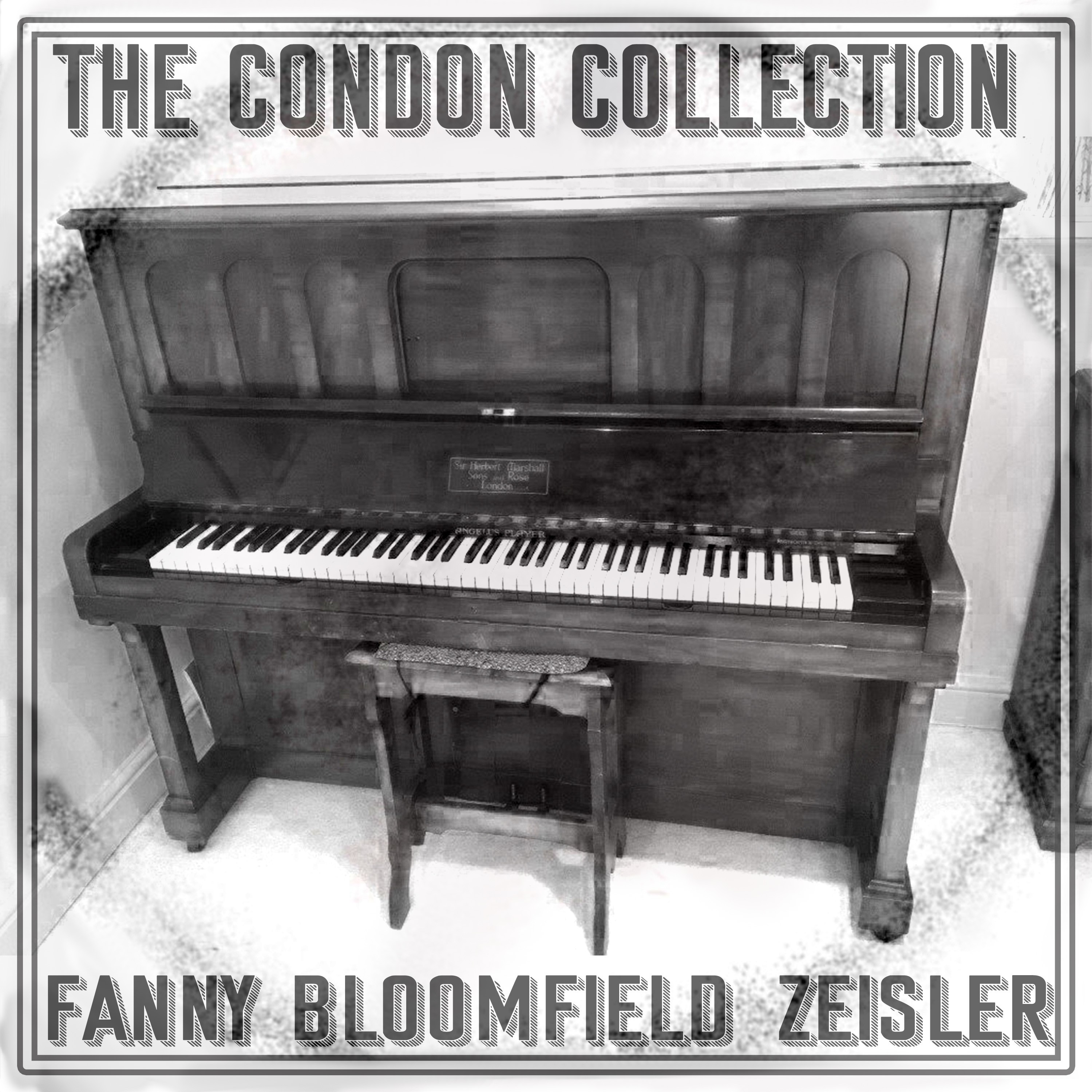 The Condon Collection  ? Fanny Bloomfield-Zeisler